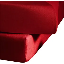 FLEURESSE Comfort 001117 Jersey 200 x 200 - 200 x 220 cm bordeaux