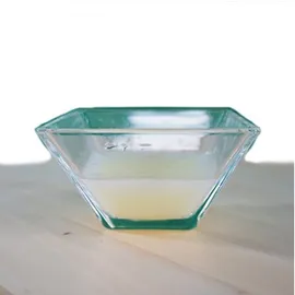 cdVet insektoVet Total 500 ml