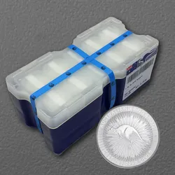Silbermünze 250 x 1oz Känguru aktueller Jahrgang Masterbox (Australien)