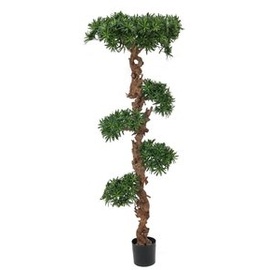 Europalms Bonsai-Palmenbaum, 180cm
