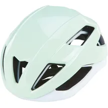 Prophete E-Bike Smart 55-59 cm grün/weiß 2023