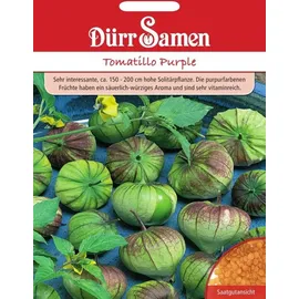 Dürr Samen Tomatillo Purple Saatgut
