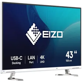 Eizo FlexScan EV4340X weiß, 42.5" EV4340X-WT