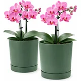 PECZEKO Blumentopf matt, Pflanzkübel aus Übertopf Kunststoff Dekorativer Topf für, groß und klein Pflanzen, 2er-Set blumenkübel, blumenkübel kräutertopf (2 Pack) Grün, ø 24 cm