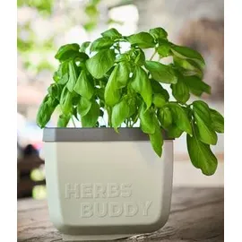 Gusta Garden Herbs Buddy 14,8 x 14,3 x 15,3 cm Hellgrau Komplettset
