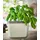 Gusta Garden Herbs Buddy 14,8 x 14,3 x 15,3 cm Hellgrau Komplettset
