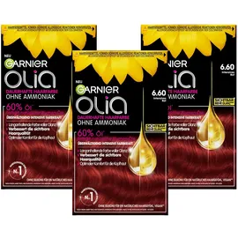 Garnier Olia 6.60 intensives rot
