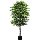 Creativ green Kunstpflanze »Ficus benjamini«, mit Naturstamm Creativ green grün