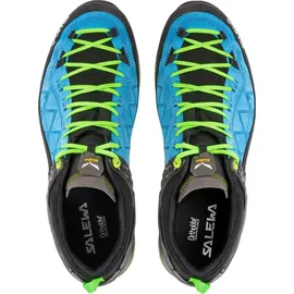 Salewa MTN Trainer 2 GTX Herren, Blau