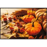 Wash+Dry Pumpkin Glow 50 x 75 cm Orange