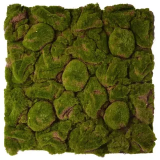 Repiterra Terrarium Terrarium Rückwände für 60x60cm Terrarien grün 58 cm x 5 cm