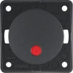 Berker 937722505 Kontr-Tast, Schl., Lins., Flow/Pure, ant