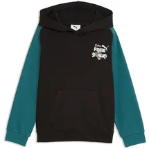 Puma Hoodie Black 116