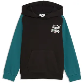 Puma Hoodie Black 116