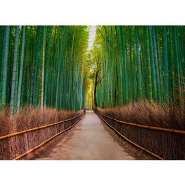 living walls Fototapete Designwalls Bambus Walk glatt, (5 St), grün Braun Weiß 3,50 m x 2,55 m FSC®
