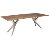 Massivmoebel24 Baumtisch Akazie 220 x 100 x 76 cm natur lackiert silber matt