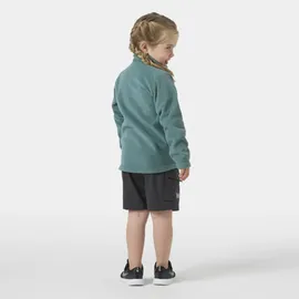 HELLY HANSEN Daybreaker 2.0 Fleecejacke Opal Grün 86