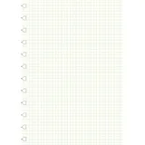Filofax Notizbuch A4 kariert Weiß