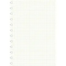 Filofax Notizbuch A4 kariert Weiß