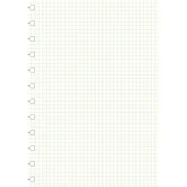 Filofax Notizbuch A4 kariert Weiß