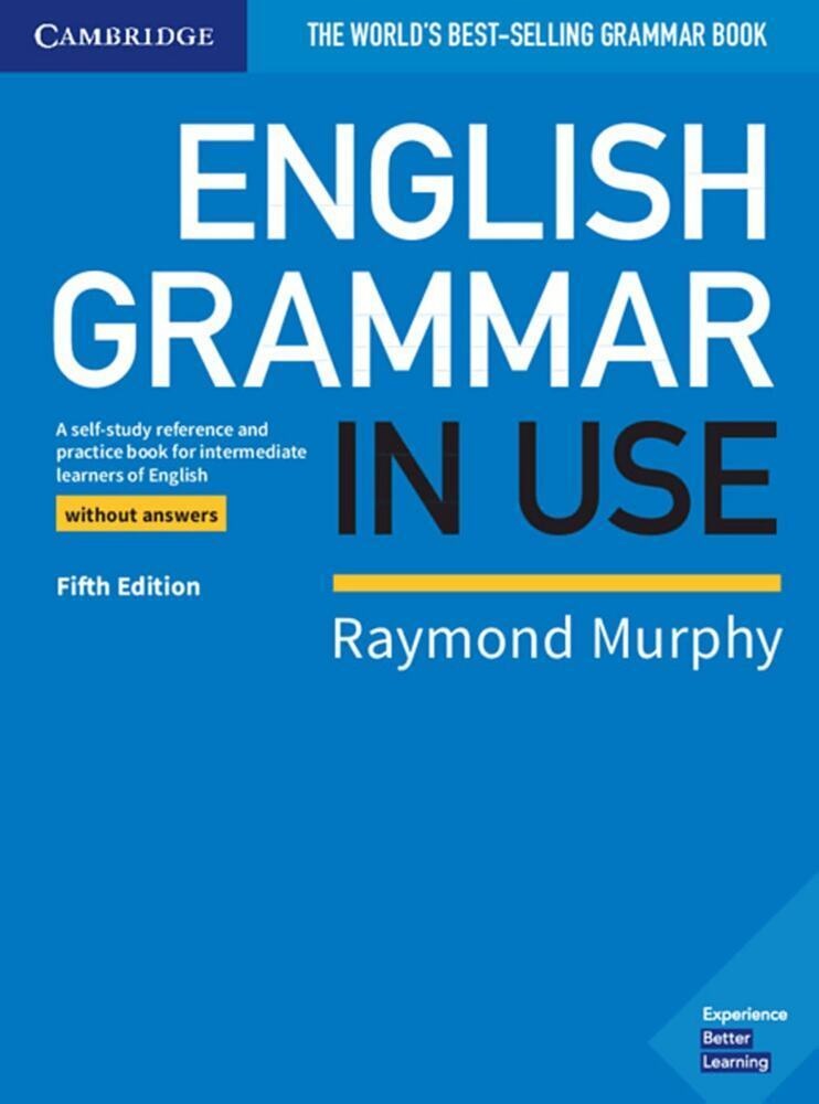 English Grammar In Use  Fifth Edition / English Grammar In Use  Fifth Edition - Book Without Answers  Kartoniert (TB)