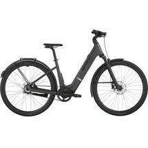 Scott Passage 10 2026 29 Zoll RH 400 cm grau