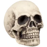 Boland Riesiger Schädel Supermind - Halloween Dekoration