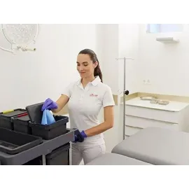 Vileda r-MicronQuick rot 5er Pack