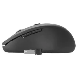 Gembird MUSW-6B-01 Wireless Mouse schwarz/silber
