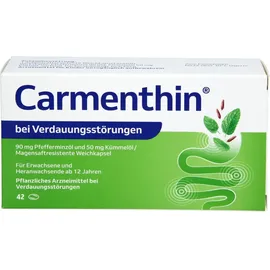 Dr. Willmar Schwabe Carmenthin bei Verdauungsstörungen 42 St.