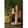 Designed by Lotte Cactus 35 x 35 x 60 cm taupe