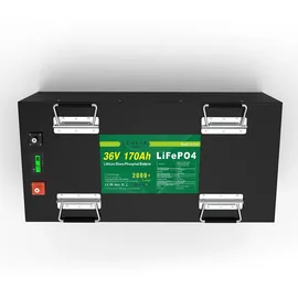 Lerian Power LiFePO4 Akku 36V 170Ah 6120Wh Lithium-Eisen-Phosphat Batterie für Camping Boot