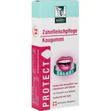 EPI-3 HEALTHCARE GMBH Baders Protect Gum Zahnfleischpflege