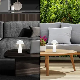 Briloner Fungo Weiß