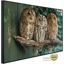Papermoon Infrarotheizung Waldkauz, sehr angenehme Strahlungswärme bunt