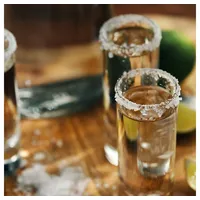 mydays Erlebnisgutschein Tequila Tasting Wien, Tequila & Mezcal Verkostung in Wien geniessen