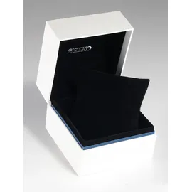 Seiko SWR110P1