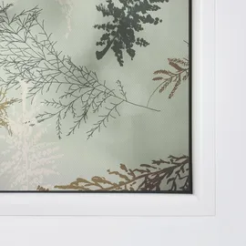 Lichtblick Fensterfolie selbstklebend, Sichtschutz, Fir Branches - Grün B/L: ca. 100x180 cm