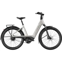 Trek Charter+ 4 2027 27,5 Zoll RH 0 cm lunar silver