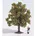 Baum 80 mm 28113 N