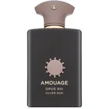 Amouage Library Collection Opus XIII Silver Oud Eau de Parfum 100 ml