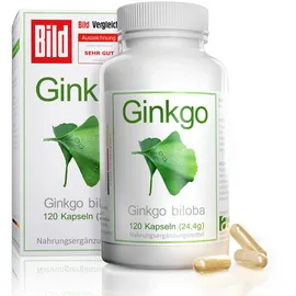 avenar pharma Ginkgo biloba Kapseln 120 St.