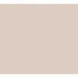 A.S. Création Vliestapete Einfarbig | 0.53 m x 10.05 m | Beige