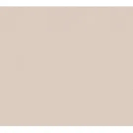 A.S. Création Vliestapete Einfarbig | 0.53 m x 10.05 m | Beige