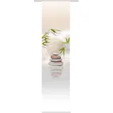 HOME WOHNIDEEN Schiebegardine Benessa 245 x 60 cm sand