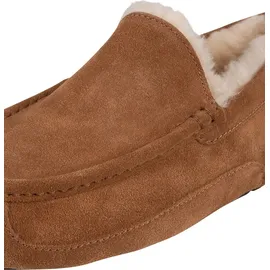 UGG Australia UGG ASCOT chestnut - 42