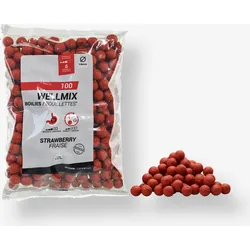 Boilies Wellmix Erdbeere 14 mm 1 kg EINHEITSFARBE NO SIZE