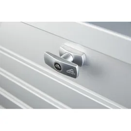 Biohort FreizeitBox 200 Dunkelgrau-Metallic