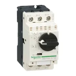 Schneider Electric GV2P14, Miniatur-Leistungsschalter