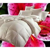 Betten Hofmann Canada Kassetten Daunenbett 4x6 155x220 1200 g Daunendecke 100% neue Daunen - Weiß